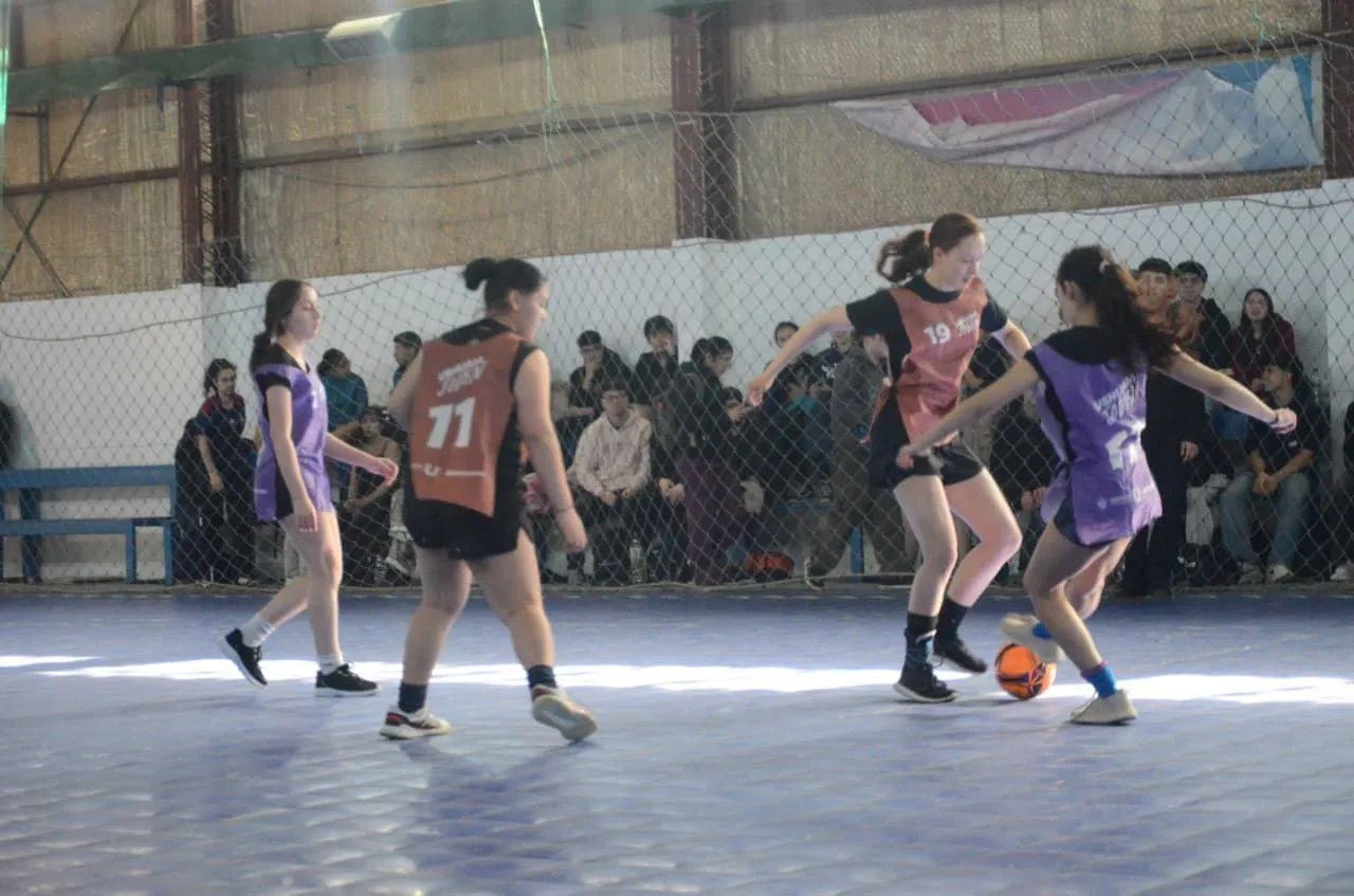 photo_5067053432451477081_y